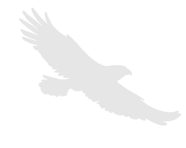 Silhouette of a person with raised hands.